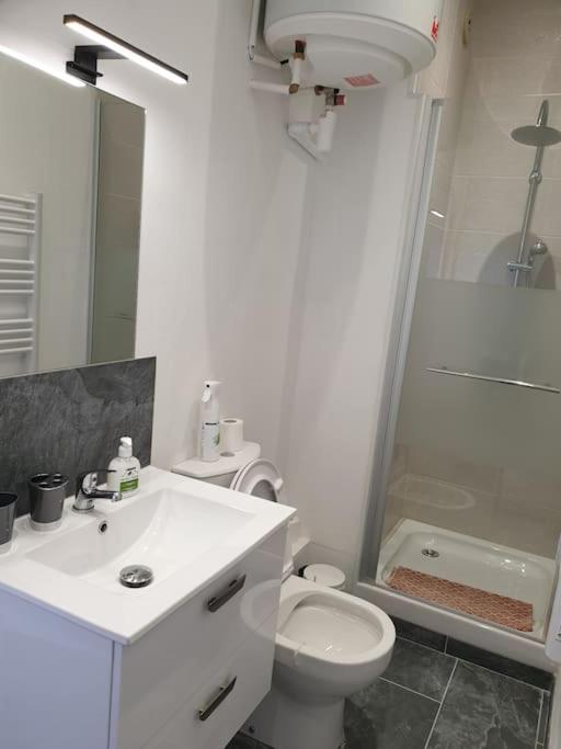 Pied A Terre Professionnel Au Coeur De 